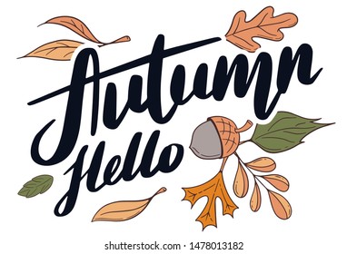 Vector illustration of Hello Autumn text. Good for card, poster, banner, invitation, postcard, icon. Calligraphy background. Hand lettering typography poster. EPS 10 