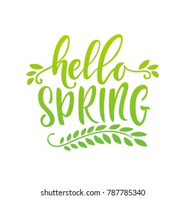 Vector illustration, hello Spring hand drawn lettering.