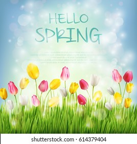 Vector illustration of Hello spring with tulip flower on blurred background