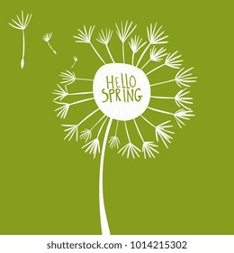 Vector illustration of Hello Spring words in white dandelion with flying seeds on green background.