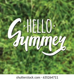 Vector illustration with "Hello Summer" lettering and blurred background with grass