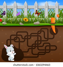 vector illustration of Help the rabbit to find the carrot