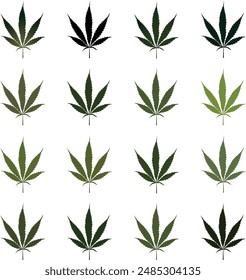 Vector illustration of hemp. Background from hemp leaves.