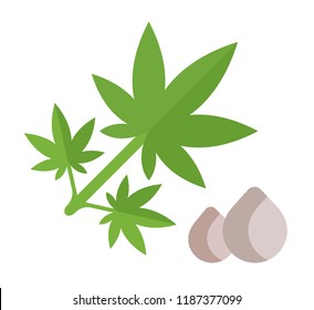 Vector Illustration of Hemp seed. Simple flat icon of seeds on a white background.