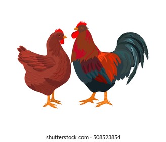 Vector illustration. Hen and cock on white background.

