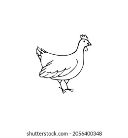 Vector illustration. Hen isolated on white background.