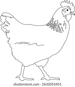 Vector illustration of a hen outline design. Simple, clean, and minimalistic silhouette of a chicken, perfect for farm-themed projects, logos, packaging, educational materials, or DIY crafts. Isolated