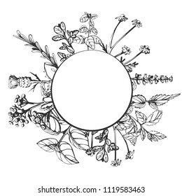 Vector illustration of herbal composition with round place for text with golden frame. Hand drawn vintage engraving style.