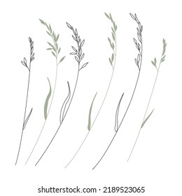 Ilustración vectorial de las hierbas aisladas en fondo blanco.