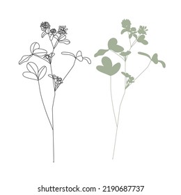 Vector illustration of herbs isolated on white background.