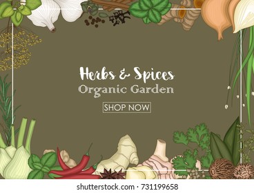 Vector illustration of Herbs and spices decorative background