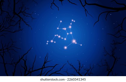 Vector illustration Hercules constellation. Tree branches, dark blue starry sky
