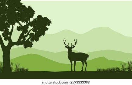 Vector illustration of a herd of deer in the forest in autumn walking at sunset, silhouettes of trees and forest animals