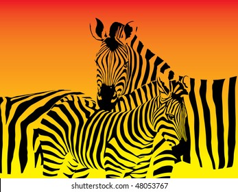 Vector illustration of a herd of zebras