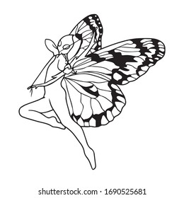 vector illustration of hero design, art butterfly, sketch
