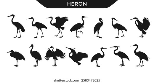 Vector illustration of heron silhouettes in various poses.