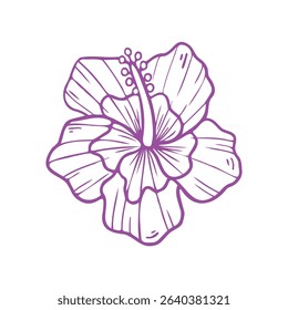 Vector illustration of a hibiscus flower in hand drawn style. Single line floral design in purple color. Perfect for summer themes and textile prints.
