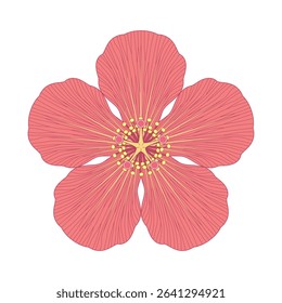 vector illustration hibiscus line drawing and flat color on white background