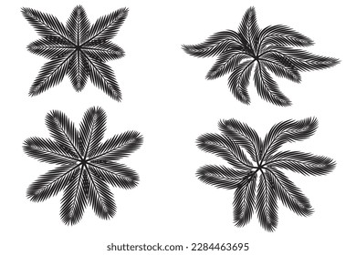 Vector illustration. high angle view. drawing image, palm or coconut leaves set. white background