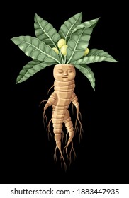 Vector illustration of high detailed mandrake with human face