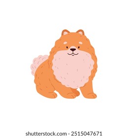 The vector illustration is highlighted on a white background with a cute fluffy Pomeranian puppy with a happy expression, a pompom tail and orange fur.