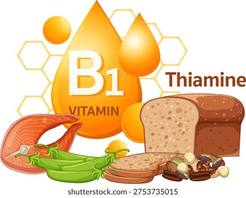 Vector illustration highlighting vitamin B1 thiamine foods, bright colors, clean composition, flat style