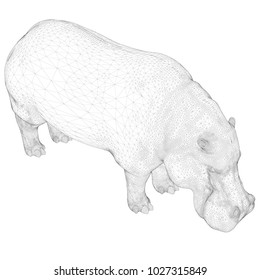 Vector illustration with hippopotamus in isometric. Polygonal cover of 3D.