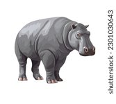  vector illustration of a hippopotamus standing on white background. large and gray animal.