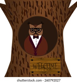 Vector illustration. Hipster owl in the hollow of an oak.  Isolated on white background.