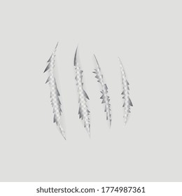 Ilustración vectorial de los agujeros de las garras. Desgarrar el fondo.