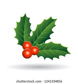 Vector Illustration of Holly Berries with Green Leaves isolated on a White Background