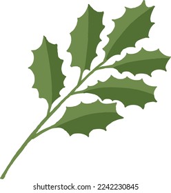 Vector illustration of holly branch