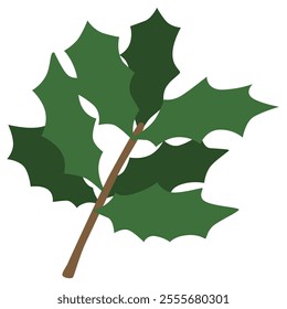 Vector illustration of holly branch