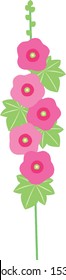 
Vector illustration of the hollyhocks