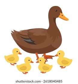 Vector illustration of home beautiful duck with yellow ducks, go and swim on white background. Poultry farm with natural products in cartoon style.