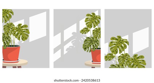 Ilustración vectorial. Flor casera, apartamento, luz desde la ventana, comodidad en casa. Colección de afiches, tarjetas, carteles. Diseño moderno, minimalismo.