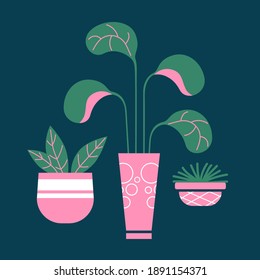 Vector illustration home flower. Indoor plant. Nature.
