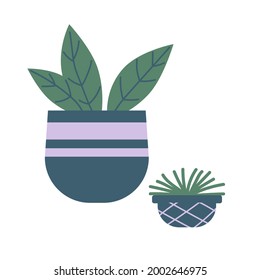 Vector illustration home flowers. Design plant. Nature.