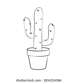 Vector illustration with home flowers in potted. Doodle cactus. 