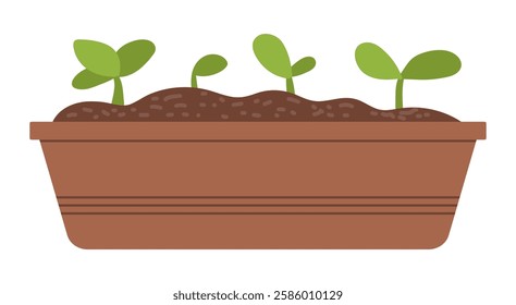 Vector illustration of home plant growing phases. Vector isolated spring garden elements, seedlings. Vector flat style illustration on white background
