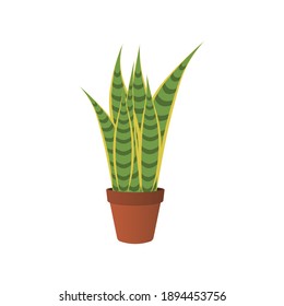 Vector illustration of a home plant for the interior.