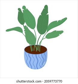 Vector illustration with home potted houseplants in a flat style. Home flowers for the interior.