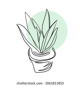 Vector illustration of homeplant.  Line art