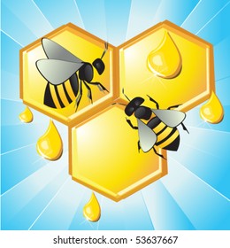 vector illustration of honey