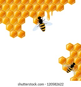 Vector Illustration of a Honey Background
