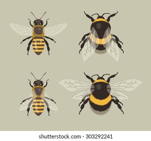 Vector Illustration Of Honey Bee And Bumblebee