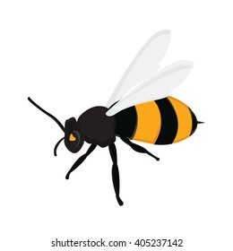 Vector illustration honey bee. Flying queen bee isolated on white background. Bee icon