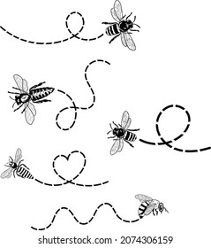 Vector illustration of a honey bee. Bee line art. Eps 10. 