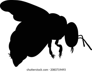 Vector illustration of a honey bee. Bee line art. Eps 10. 