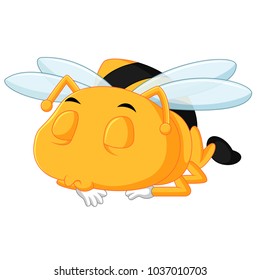 vector illustration of honey bee on a white background